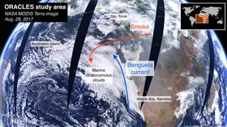 A map of our study area off the western coast of Africa.