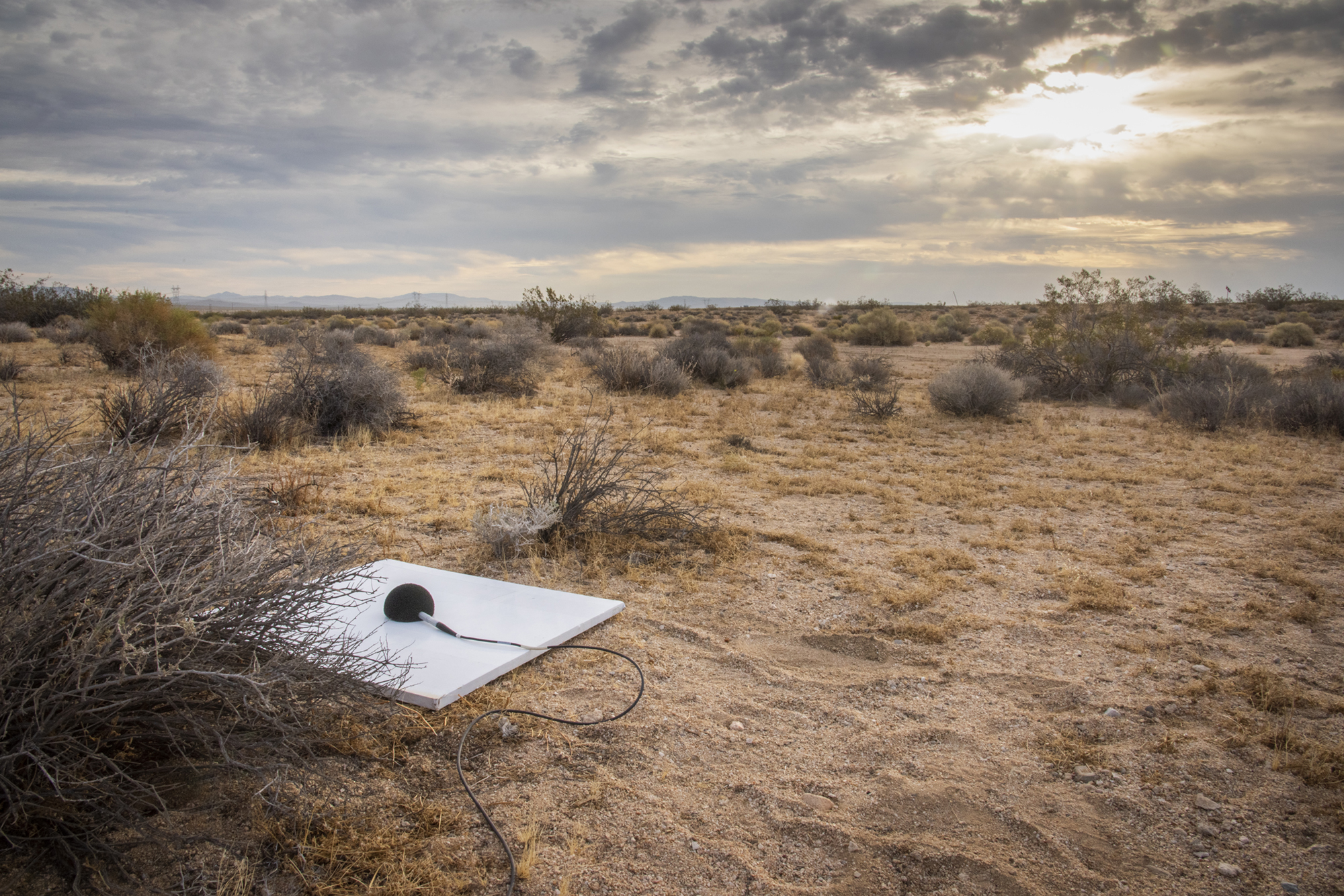 One of multiple microphone stations used in the CarpetDIEM flight series sits in the Mojave Desert in California.