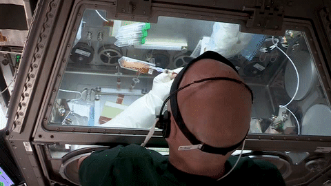 El astronauta Luca Parmitano realiza ciencia dentro de una guantera