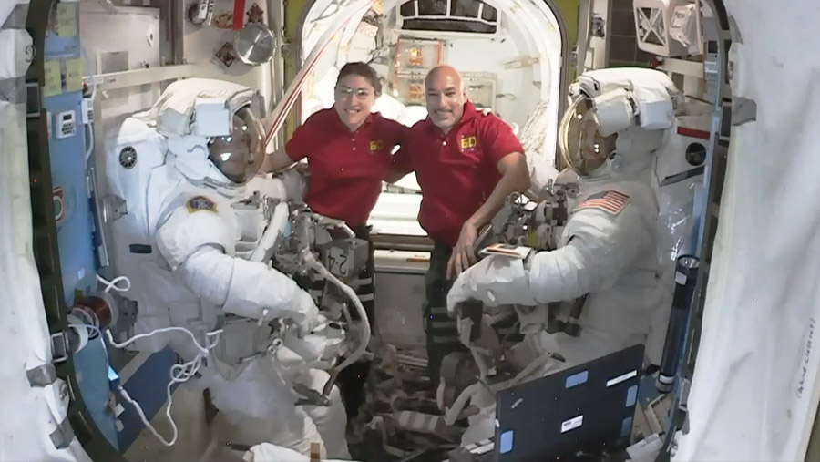 Astronauts pose with spacewalkers