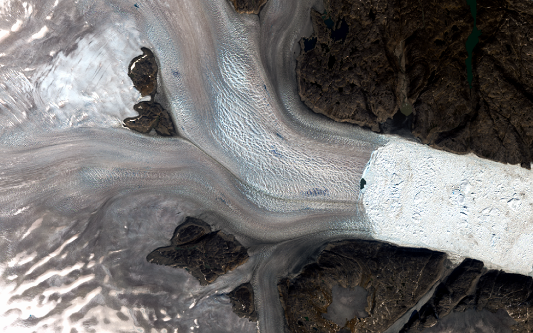 Satellite image of Helheim Glacier flowing to the sea. The glacier's calving front, where ice begins to break off, is fairly far into land. The ice looks really dirty, mostly brown and light blue.