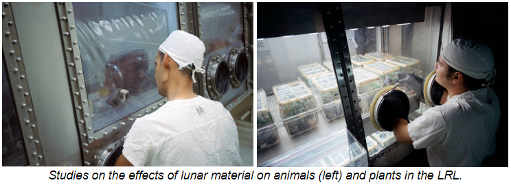 Studies on the effects of lunar material on animals (left) and plants in the LRL.