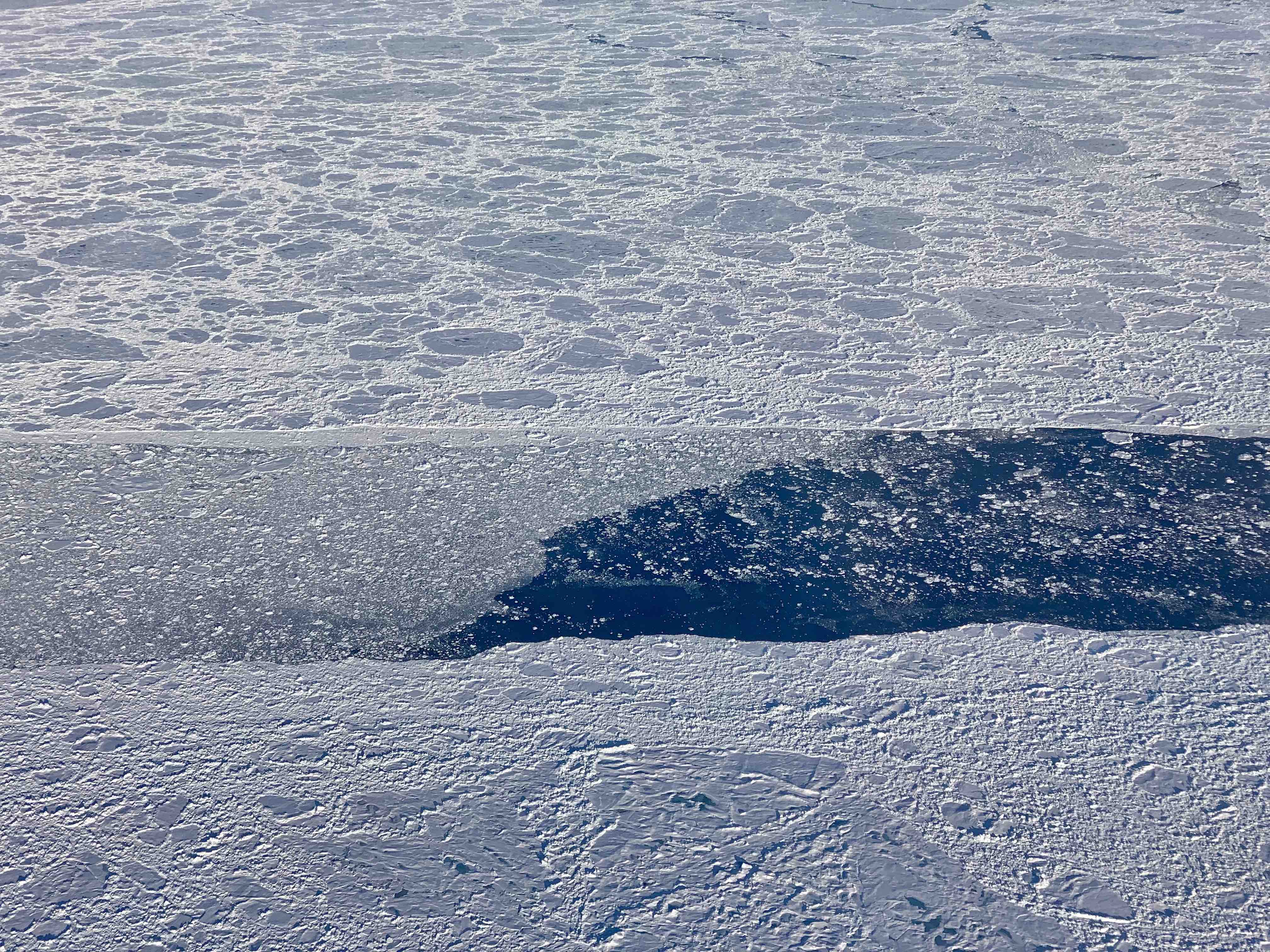 An expanse of rumpled, white sea ice with an opening exposing dark blue ocean water.