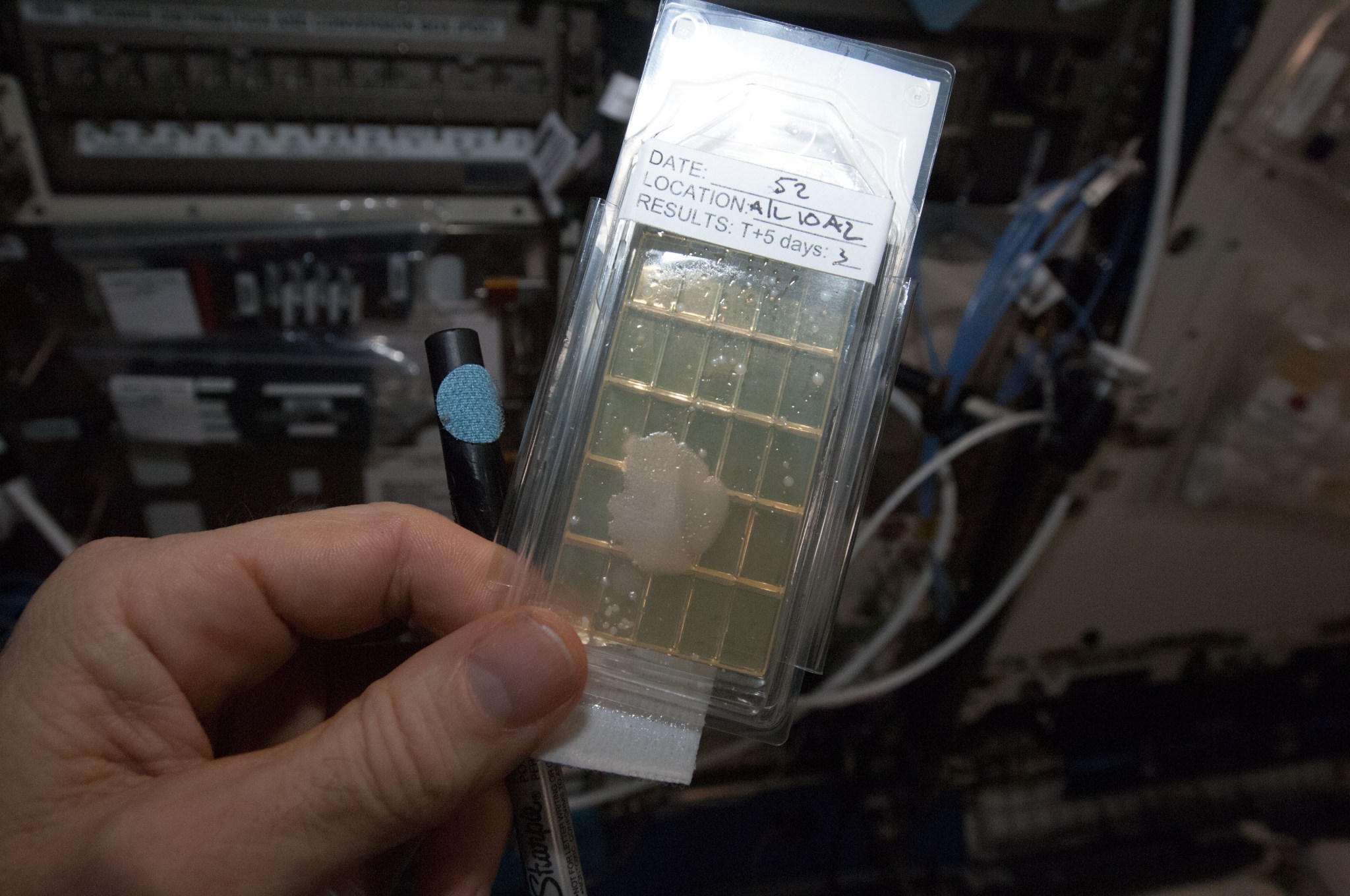 微生物学：宇宙ステーション内の微生物を監視(Station Science 101: Microbiology)