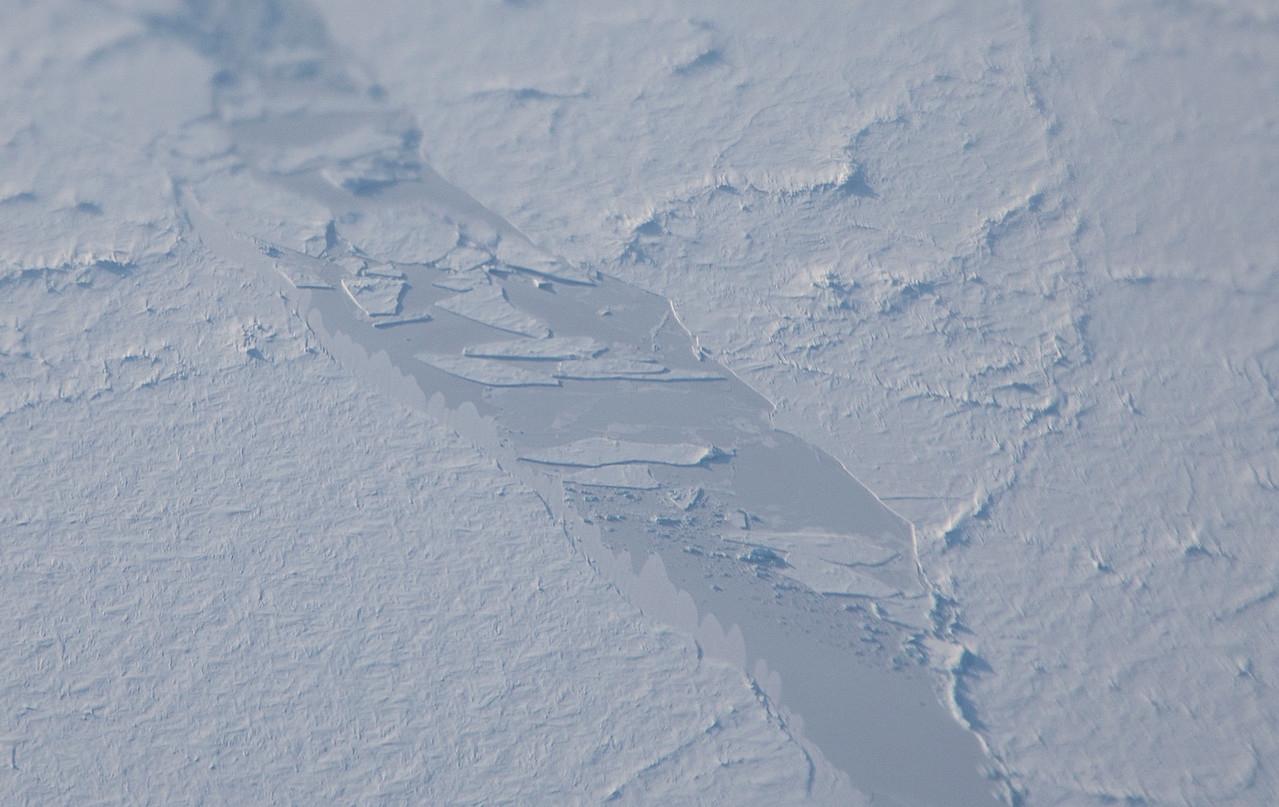 An expanse of sea ice, which looks like a flat white, blue surface with tiny ridges and bumps.