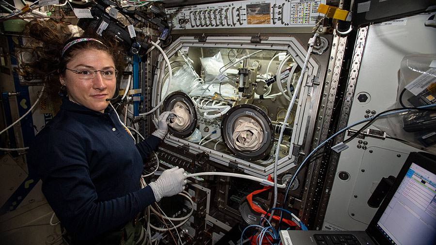 NASA astronaut Christina Koch performs science operations in the Microgravity Science Glovebox for the Ring Sheared Drop human health and advanced materials investigation. Image Credit: NASA