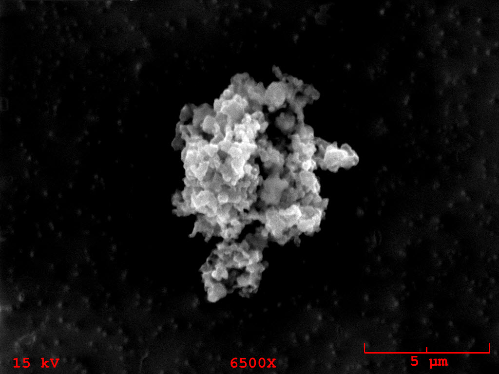 image of magnified dust grain