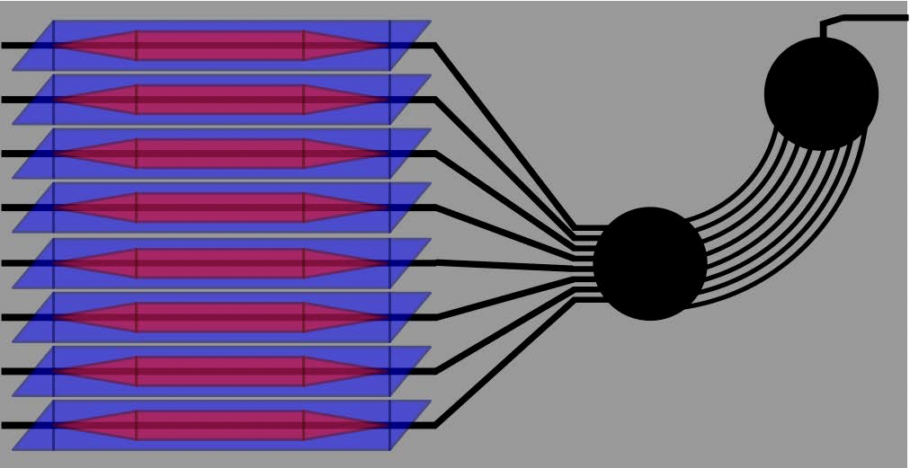 This schematic shows an application of arrayed waveguide gratings. The graphic shows eight equal size purple-blue parallelograms with pink elongated diamonds over each one. Black lines go through the center of the shapes and connect into a black dot which has eight lines going to the right, swinging up and connecting to another black dot, which has one line coming from it off the page. 