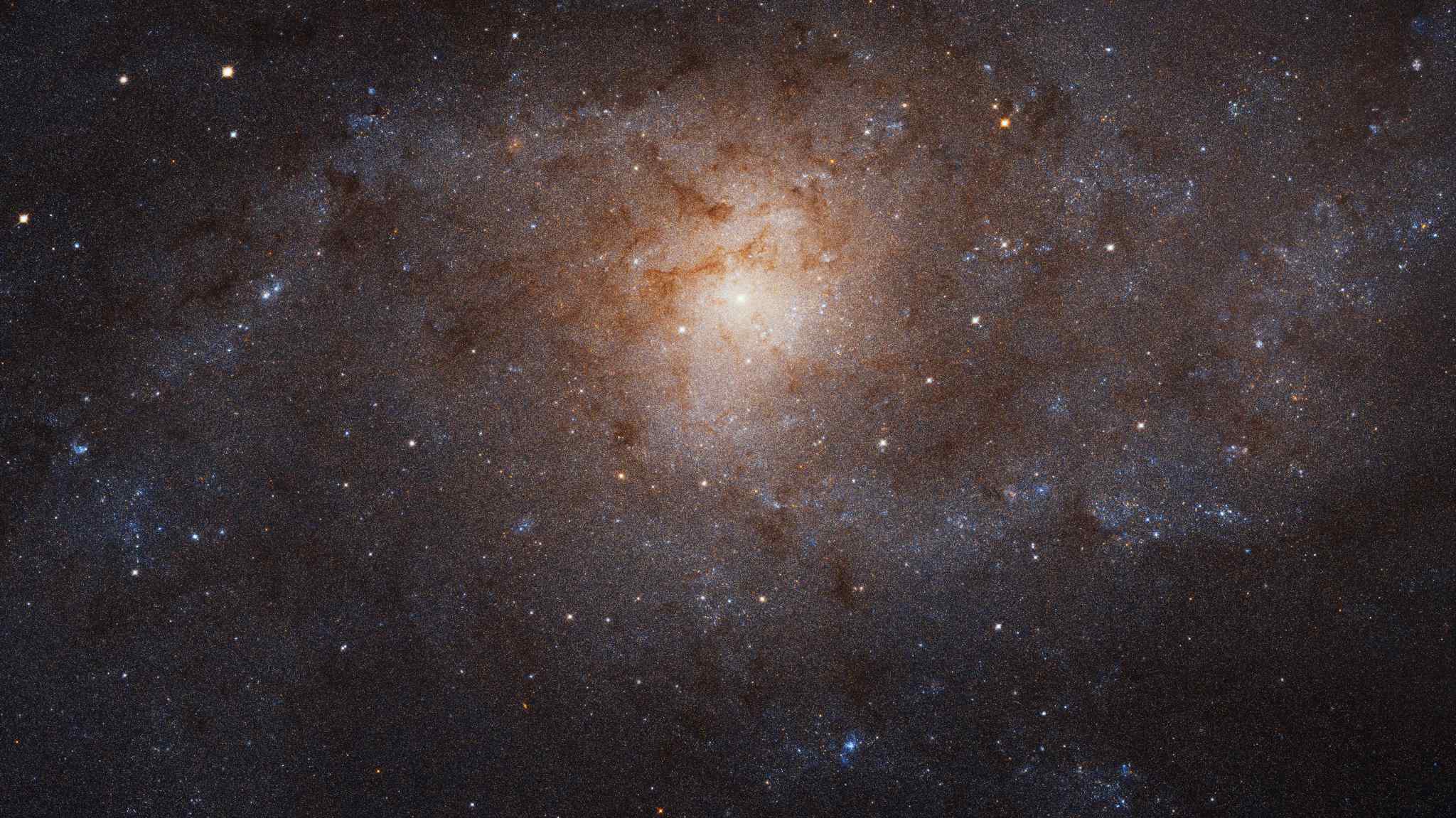 Image of Triangulum galaxy (M33)