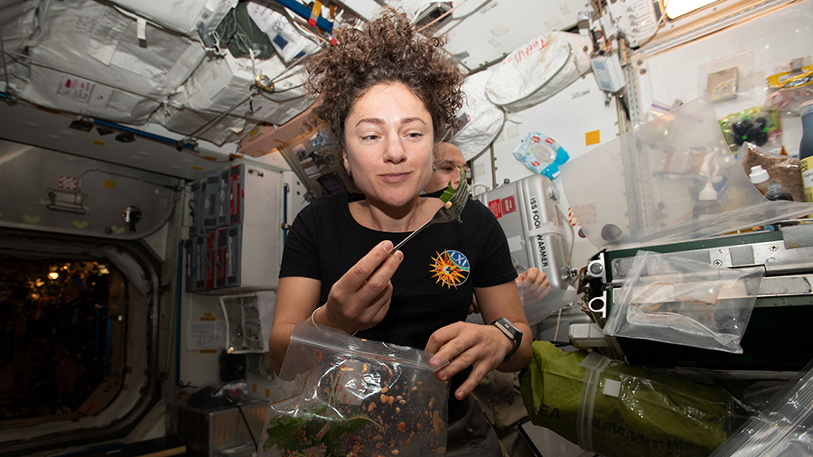 NASA astronaut Jessica Meir dines on fresh Mizuna mustard greens