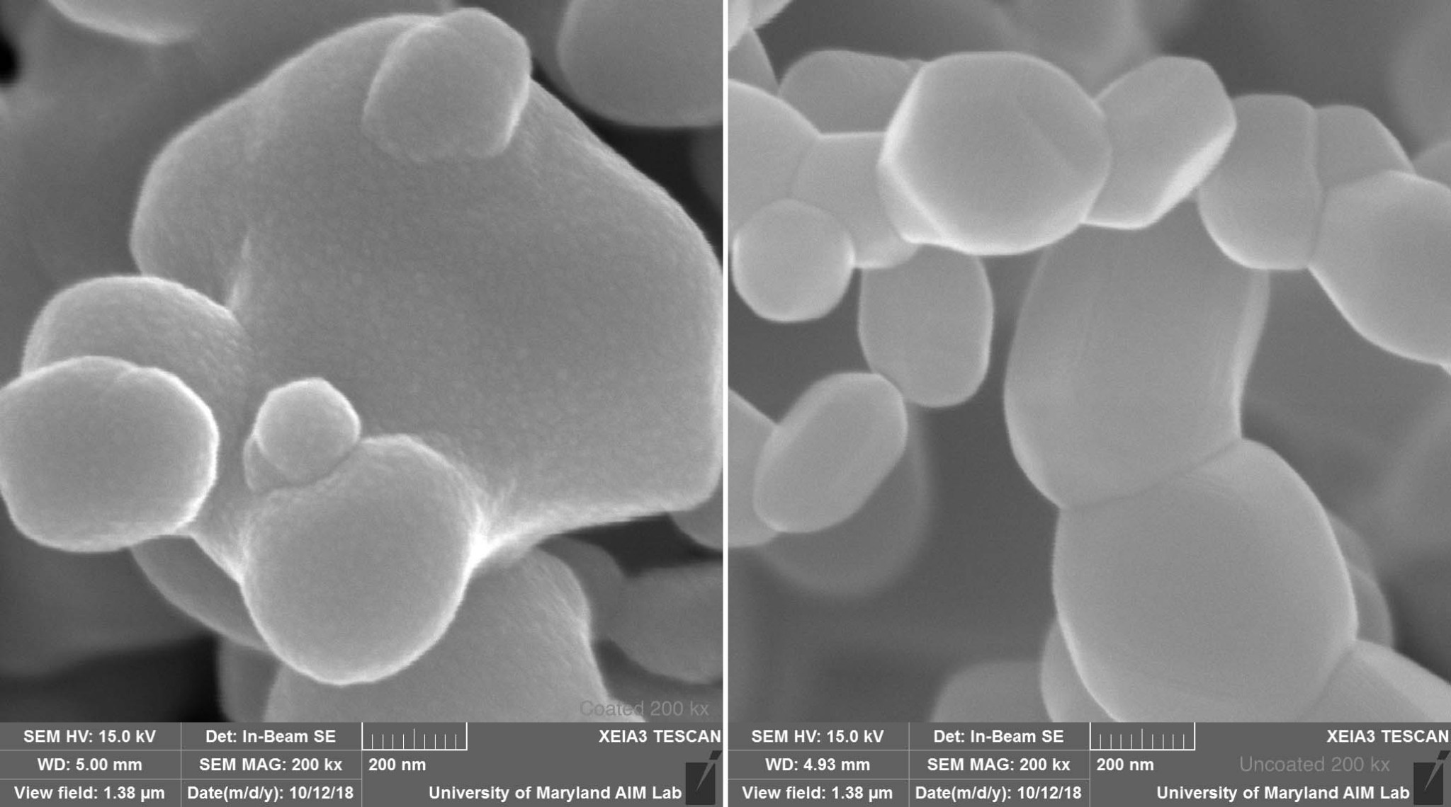 Coated and uncoated pigments on microscope slides