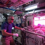 NASA astronaut Steve Swanson grows vegetables on the space station in the Veggie facility, housed in an EXPRESS Rack designed and built at Marshall.
