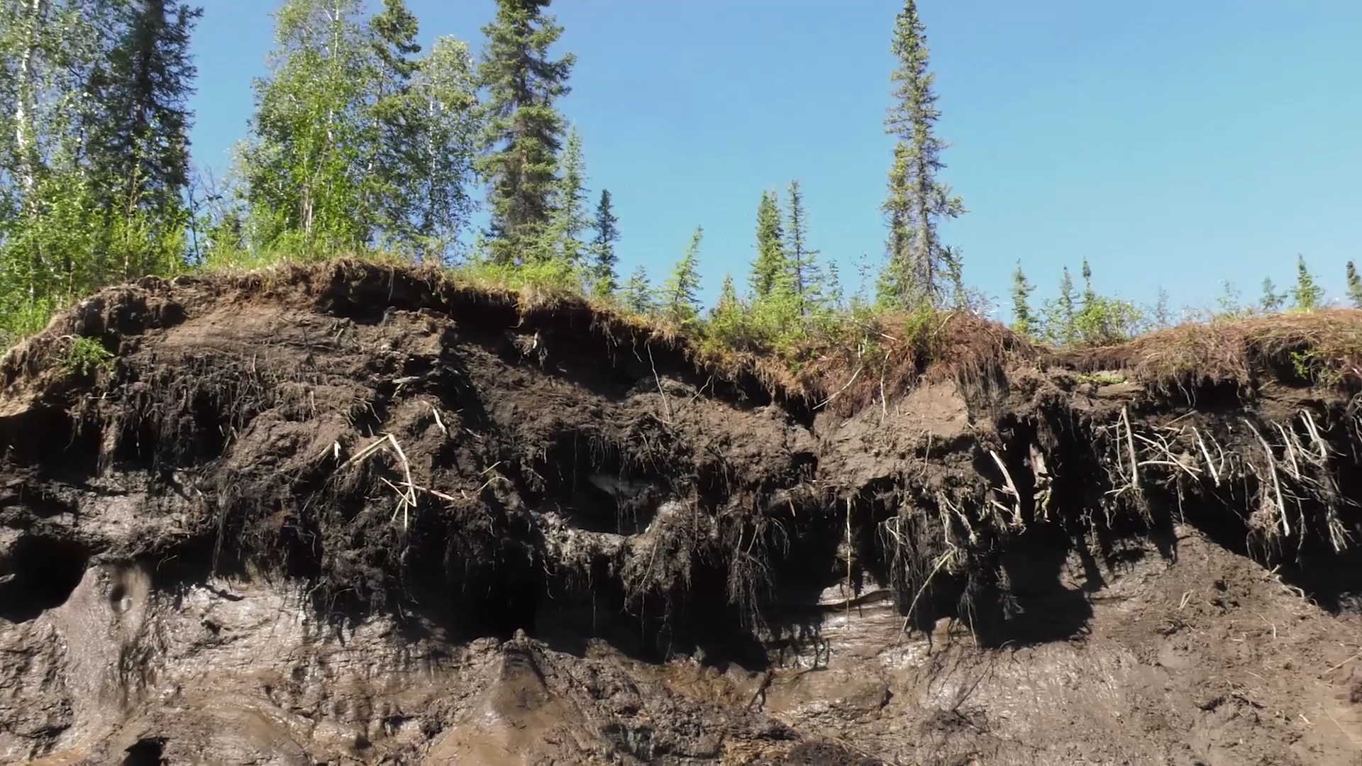 The side of a hillside that has fallen away to reveal a slippery muddy surface.