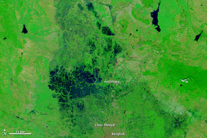 A satellite image of the area around Ayutthaya, Thailand in 2009. The area is mostly bright green, with the city labeled in white. To the left of the city, dark blue water is interrupted by bright green delta.