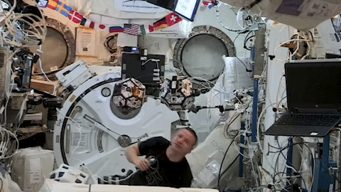 animated gif of astronaut Andrew Morgan working with the SPHERES robots inside the space station