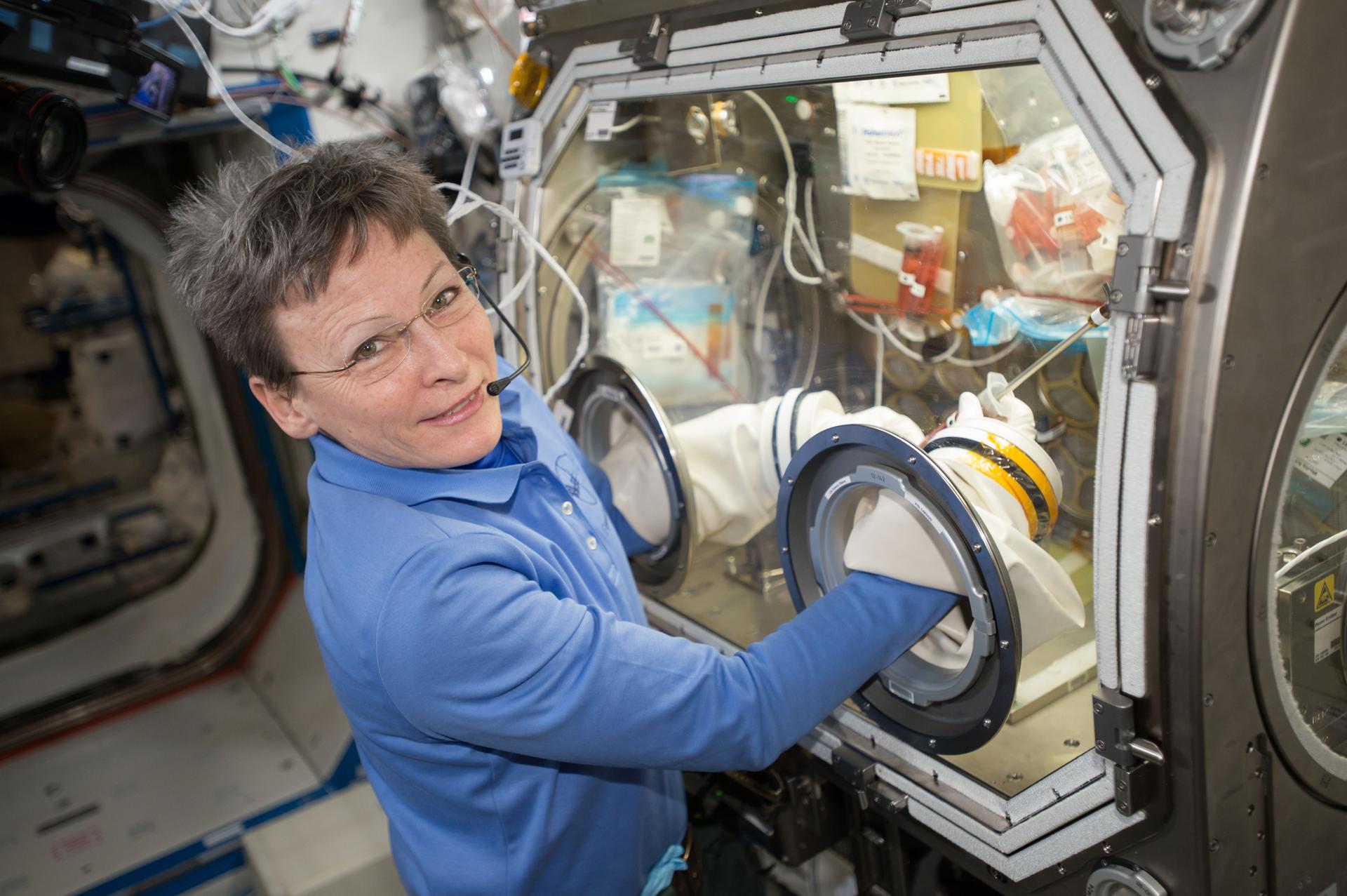 Commander Peggy Whitson is working on the OsteoOmics bone cell study that utilizes the Microgravity Science Glovebox
