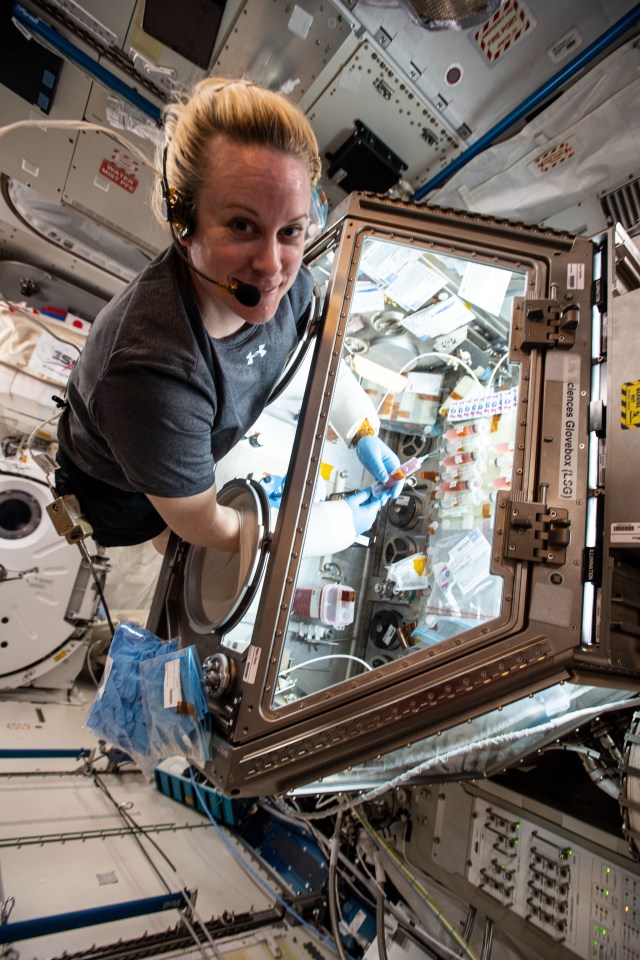 Astronaut Kate Rubins works inside the Life Sciences Glovebox