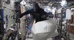 iss20th_birthday_scott_kelly_gorilla_suit