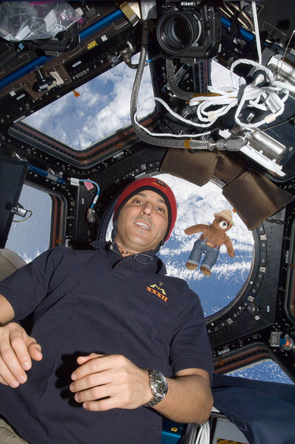 iss20th_birthdays_acaba_and_smokey_the_bear_in_cupola_exp_32