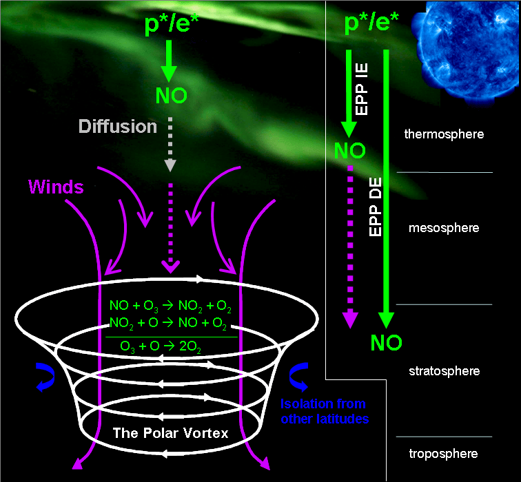 illustrated graphic showing Nitric Oxide transport in Earth's polar region