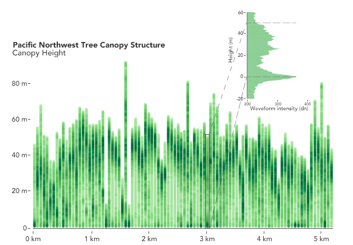 Bar graph with Pacific Northwest canopy tree height graphed in green between 0 and 50 meters above the ground. The X-axis runs from 0 to just past 5 kilometers. The bars representing height vacillate between just above 10 meters to just above 50 meters.