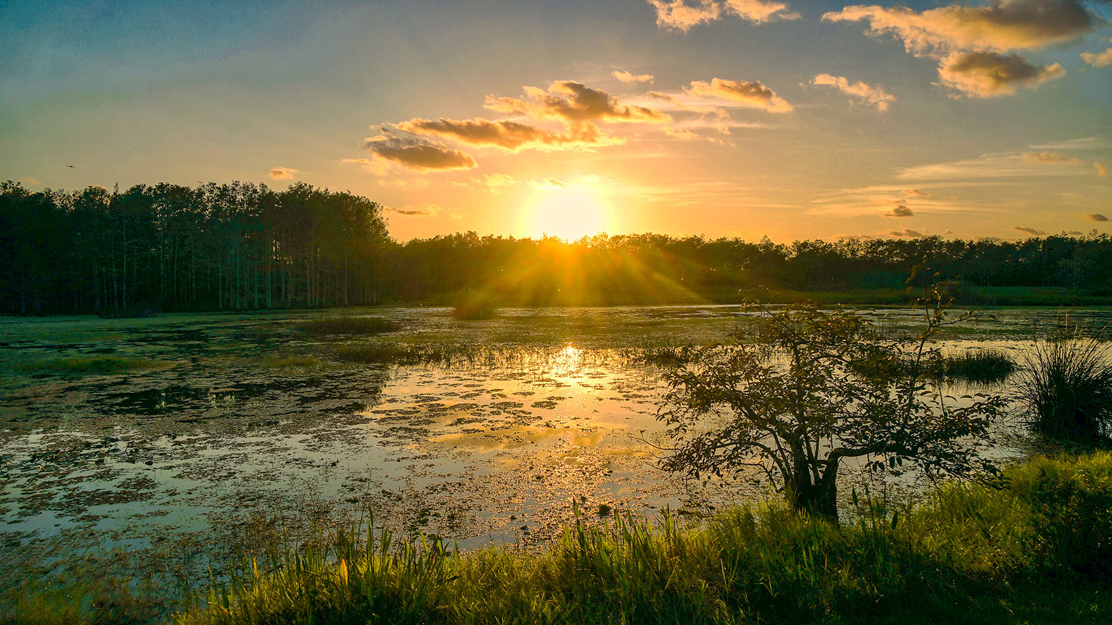 Mississippi River Delta