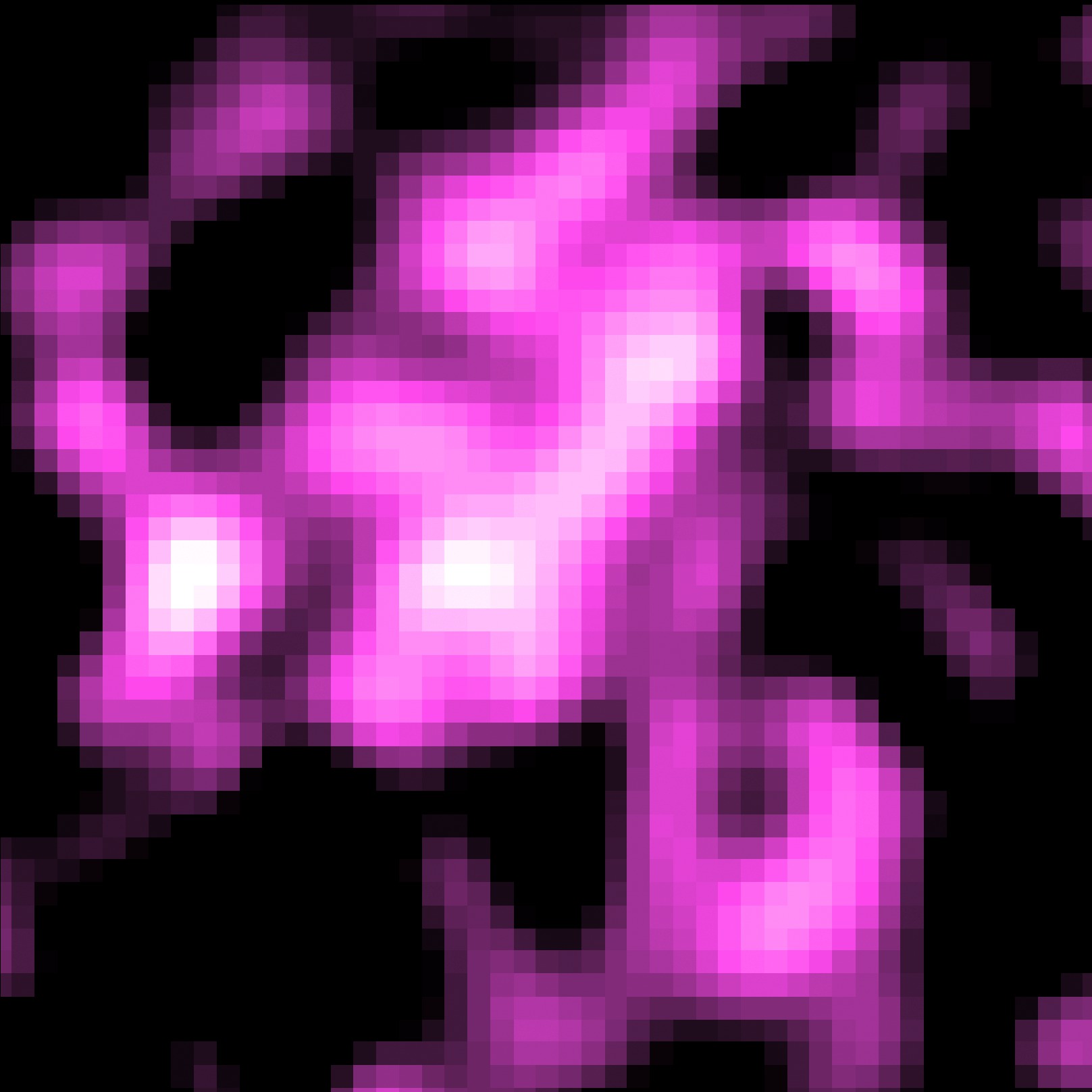 Fermi gamma-ray image of Cygnus X region