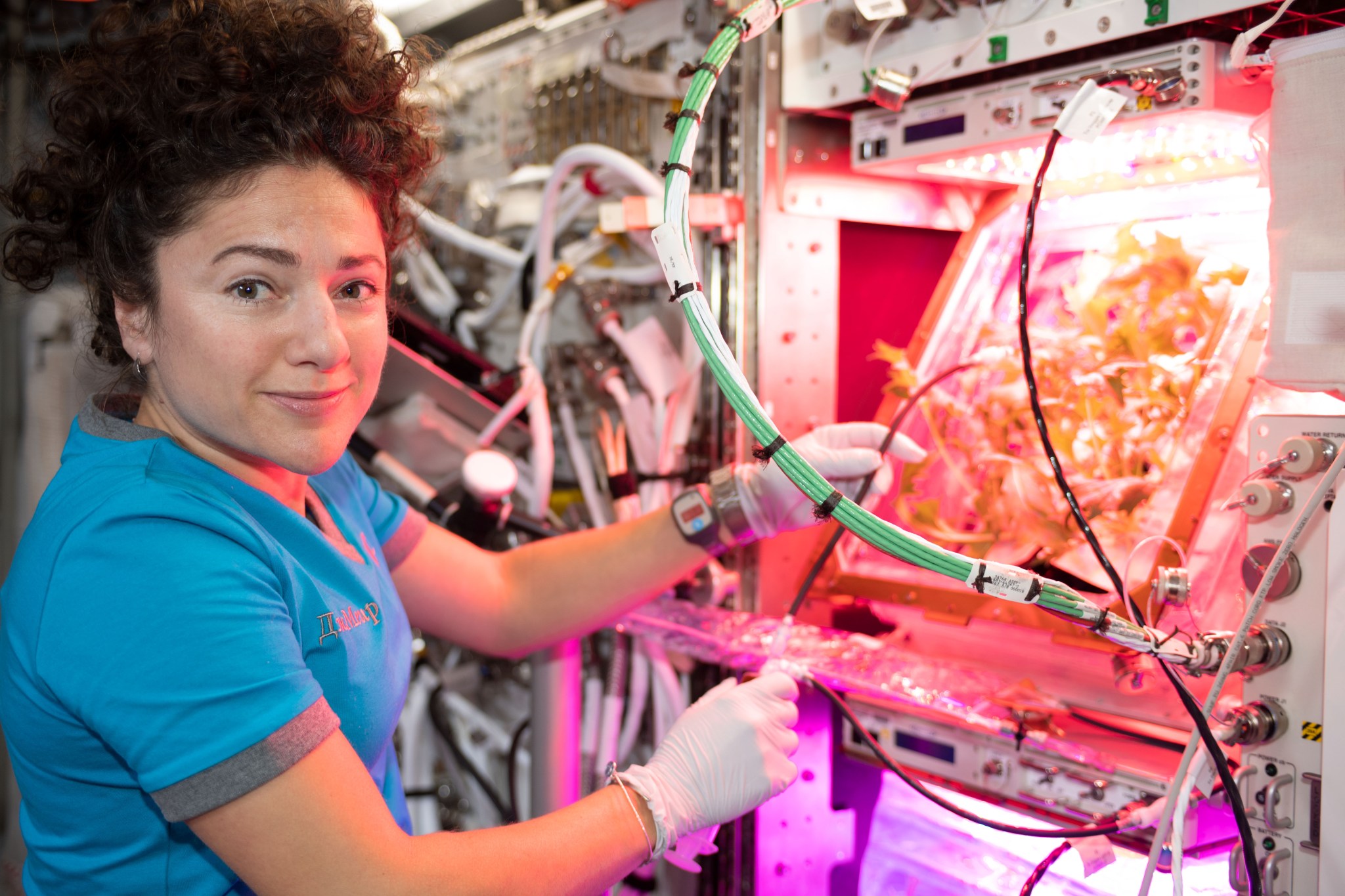 NASA Astronaut Jessica Meir conducts Plant Pillow watering operations in the Columbus European Laboratory