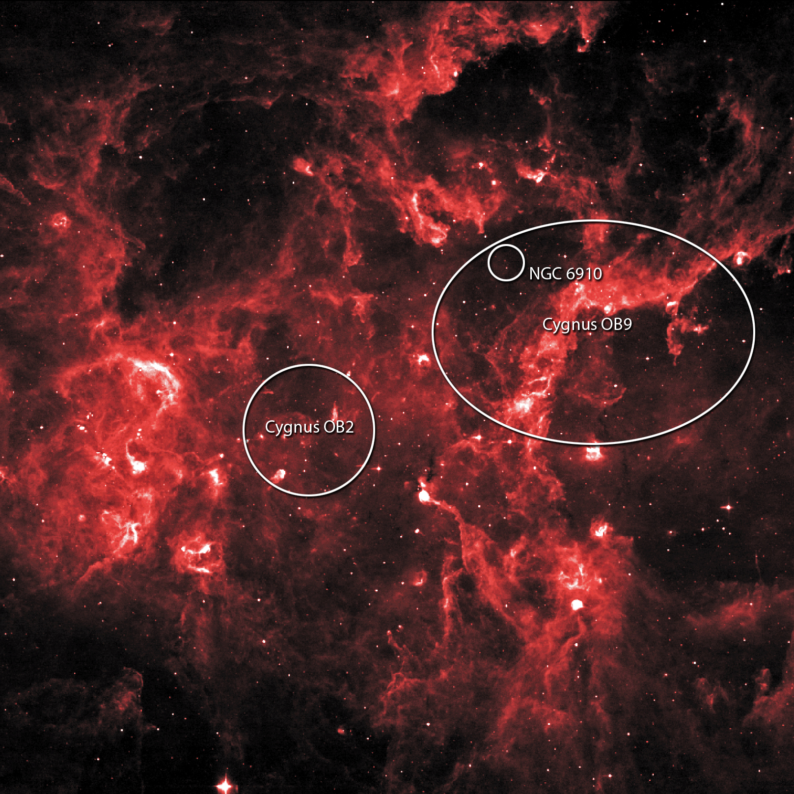 8-micron infrared image of Cygnus X with labels