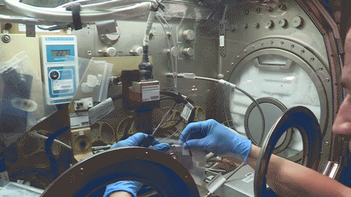 animated gif of astronaut Drew Morgan preparing a combustion experiment