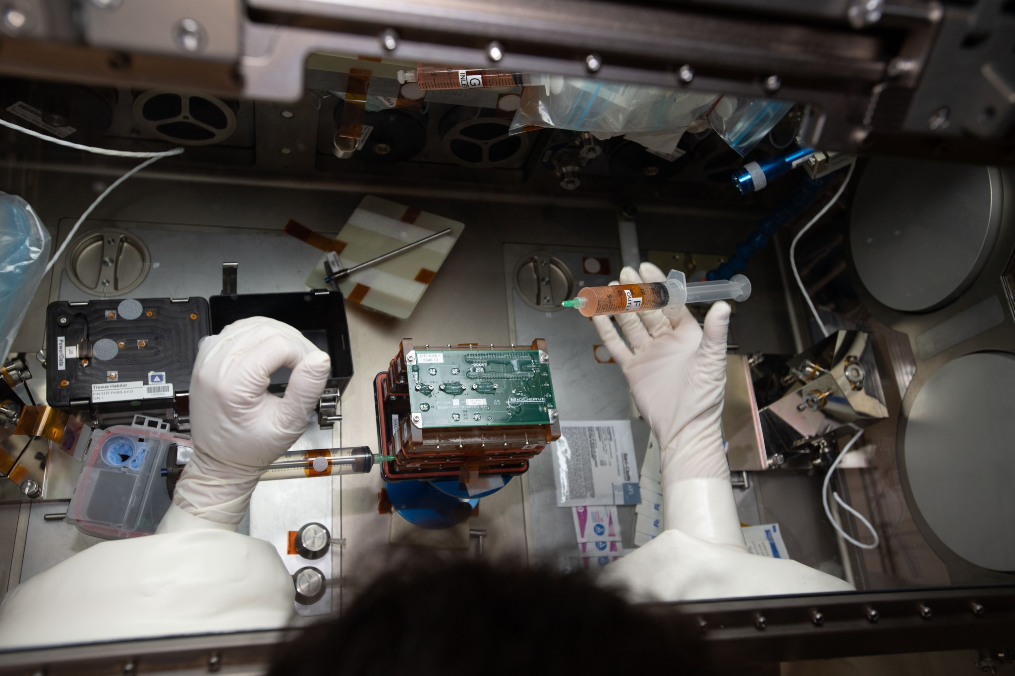 NASA astronaut Jessica Meir conducts operations for the investigation in the Life Sciences Glovebox.