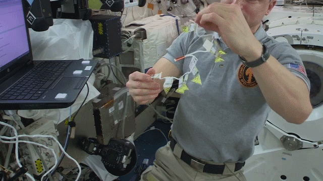 astronaut Andrew Morgan working with protein crystals in space