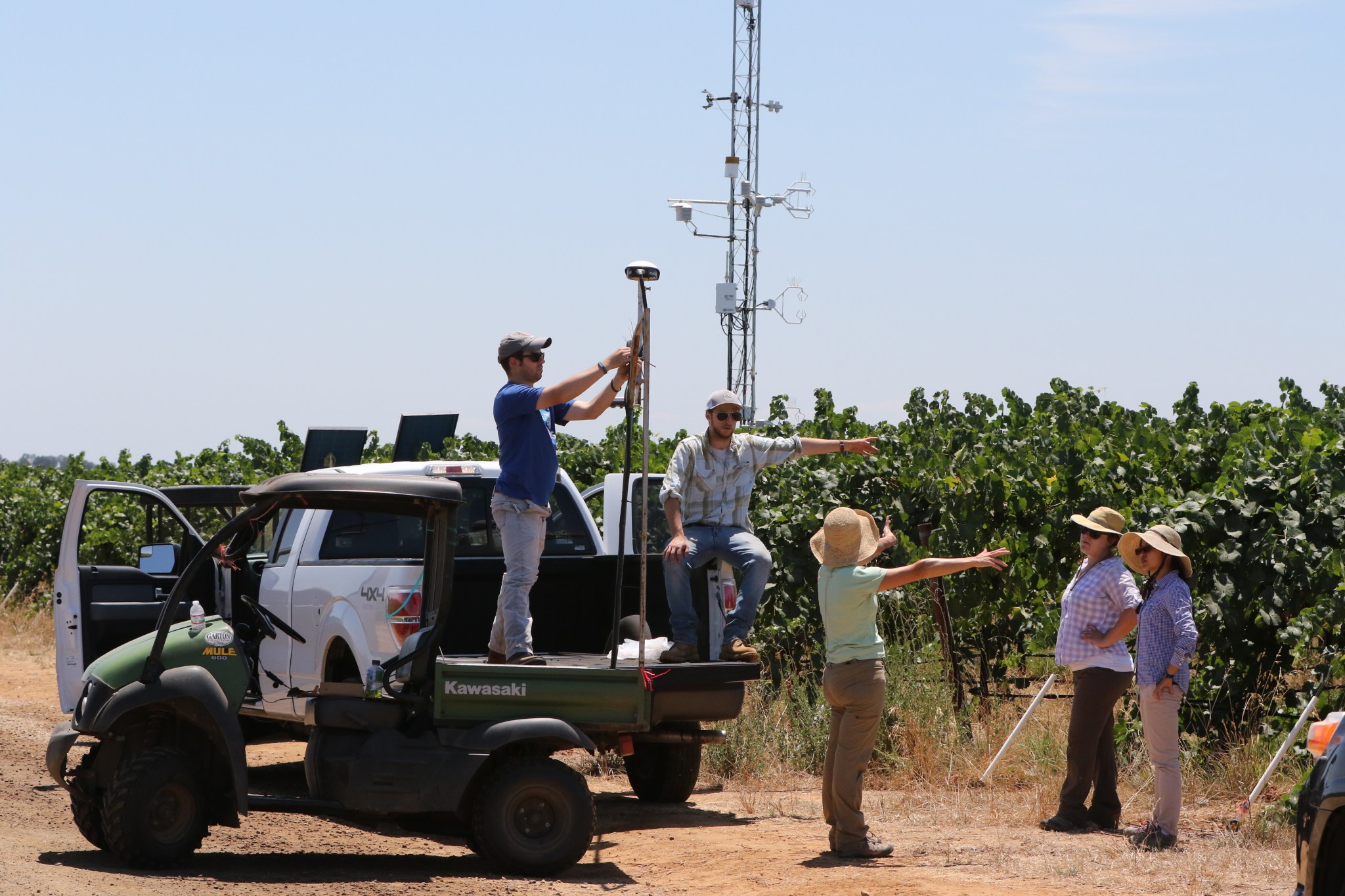 5 EJ Gallo team members setting up scientific instruments in a California vineyard