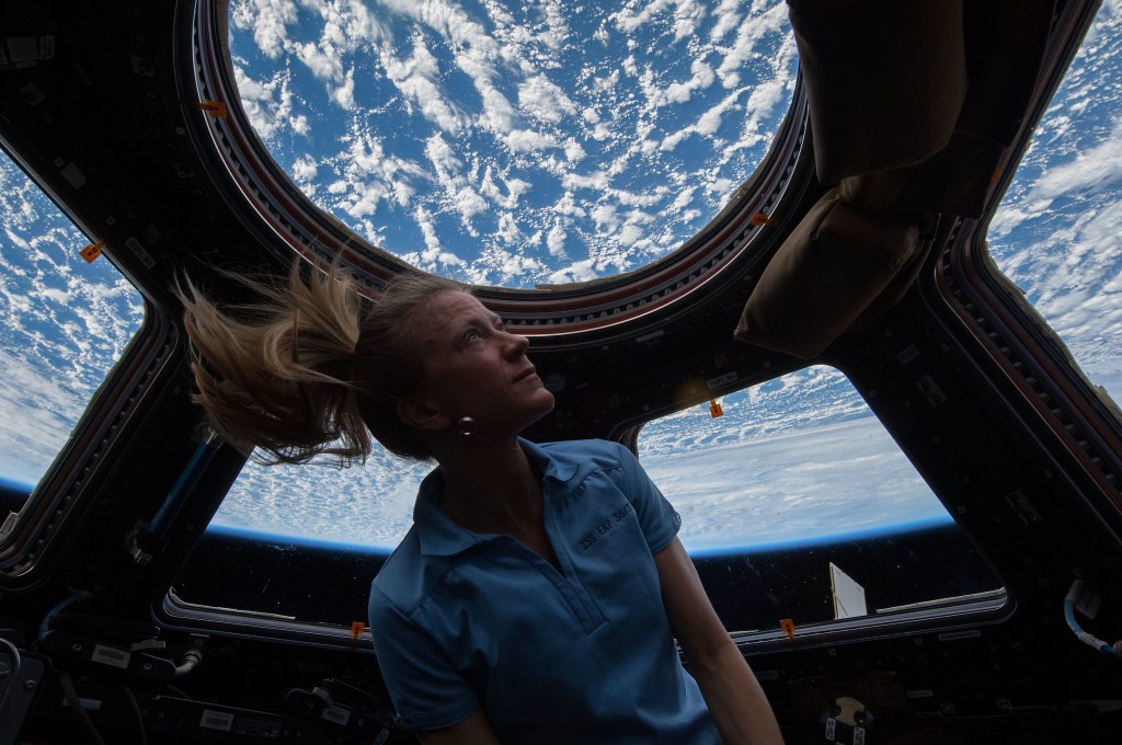 Veteran Astronaut Karen Nyberg Retires from NASA