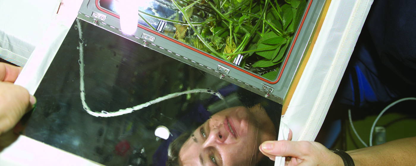 In Case You Missed It image