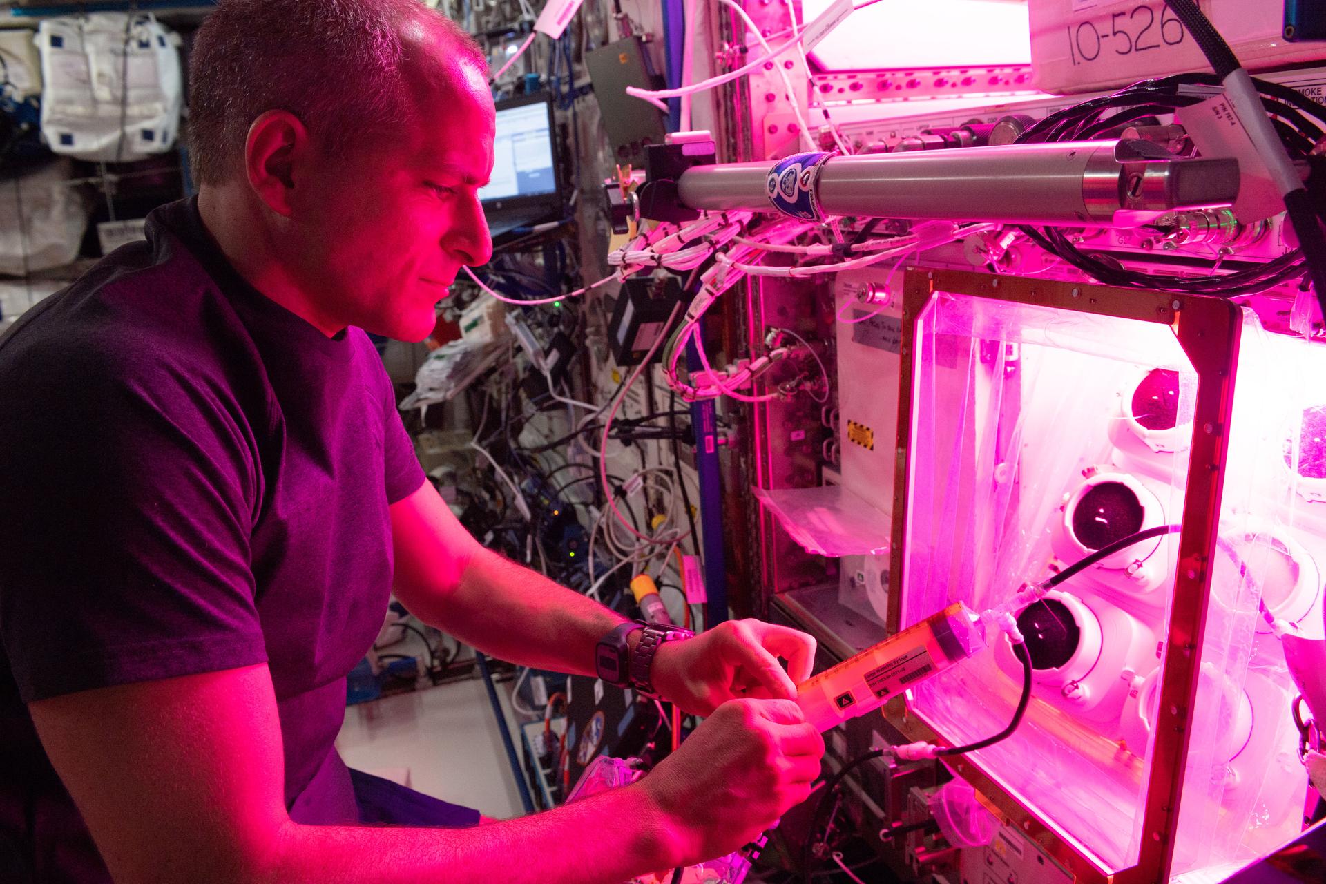 Canadian Space Agency astronaut David Saint-Jacques fills a water reservoir on the ISS in 2019.