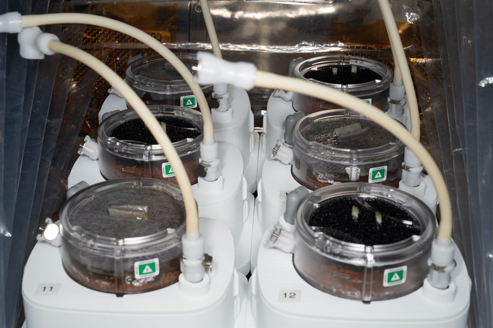 cannisters containing soil and plants, inside a watering system