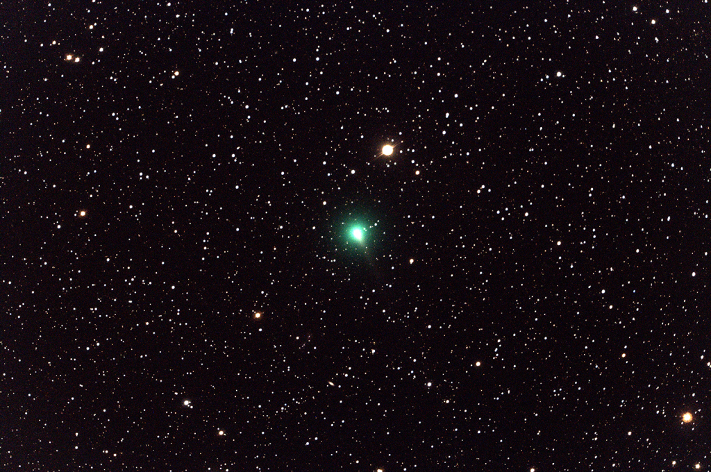 Comet C/2019 Y4 ATLAS (Credits: NASA/Tiffany Clements)