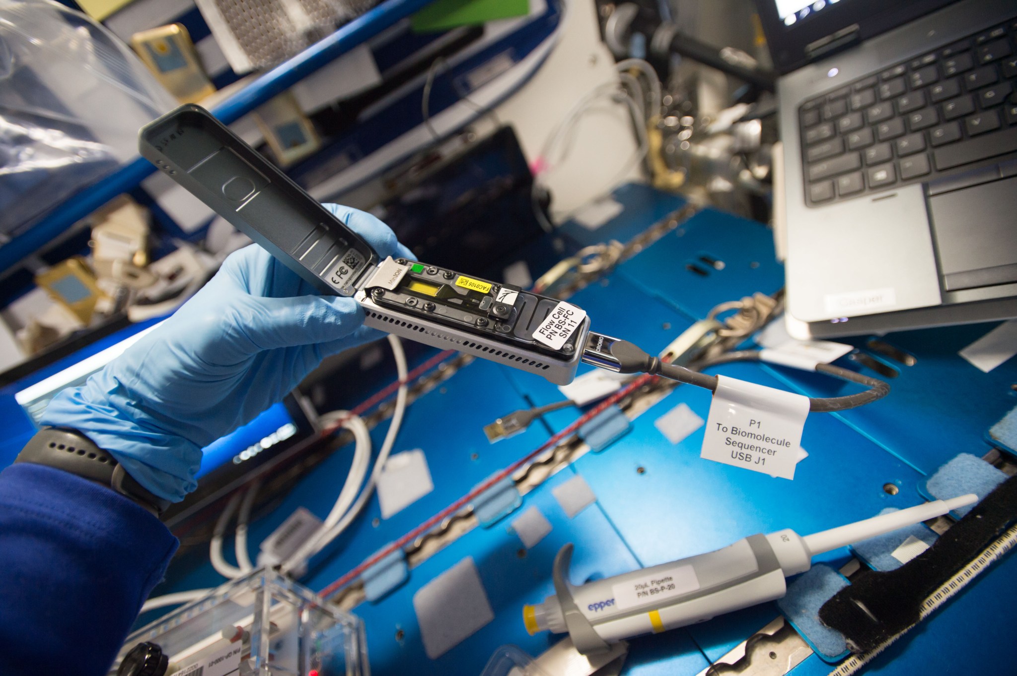 The MinION DNA sequencer in use on the space station. Credits: NASA Alt text: A blue-gloved hand holds a rectangular palm-sized device. The lid of the device is open revealing a small yellow cell and some labels. There is a USB  cord coming out of the end of the device.