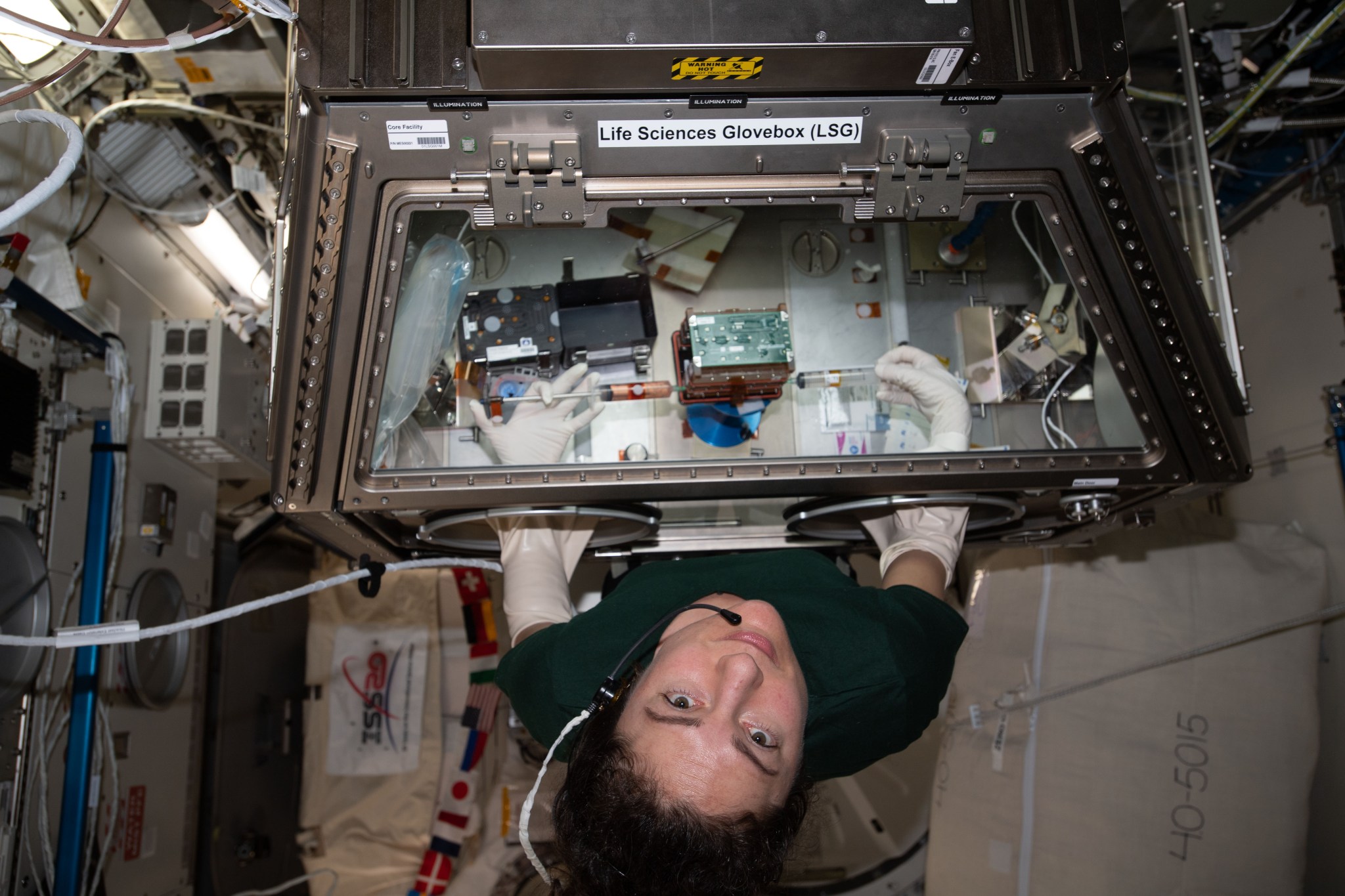 astronaut Jessica Meir working inside the life sciences glovebox in the space station