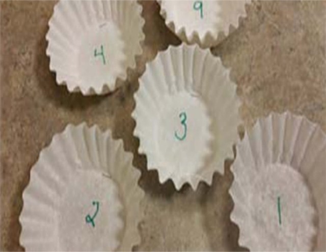 Coffee filters with numbers written inside