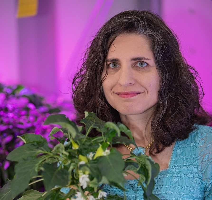 Portrait image of Dr. Gioia Massa holding a plant