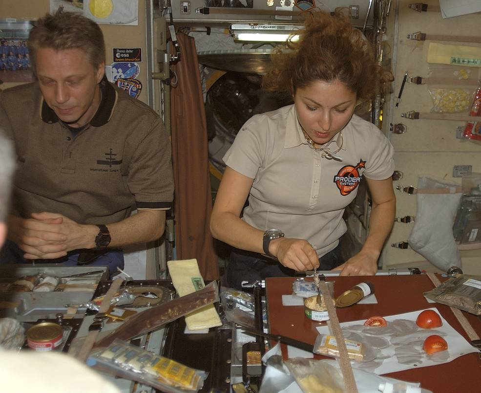 iss20_sfp_ansari_mealtime_on_iss