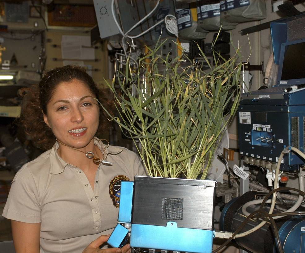 iss20_sfp_ansari_with_lada_greenhouse_rasteniya_experiment