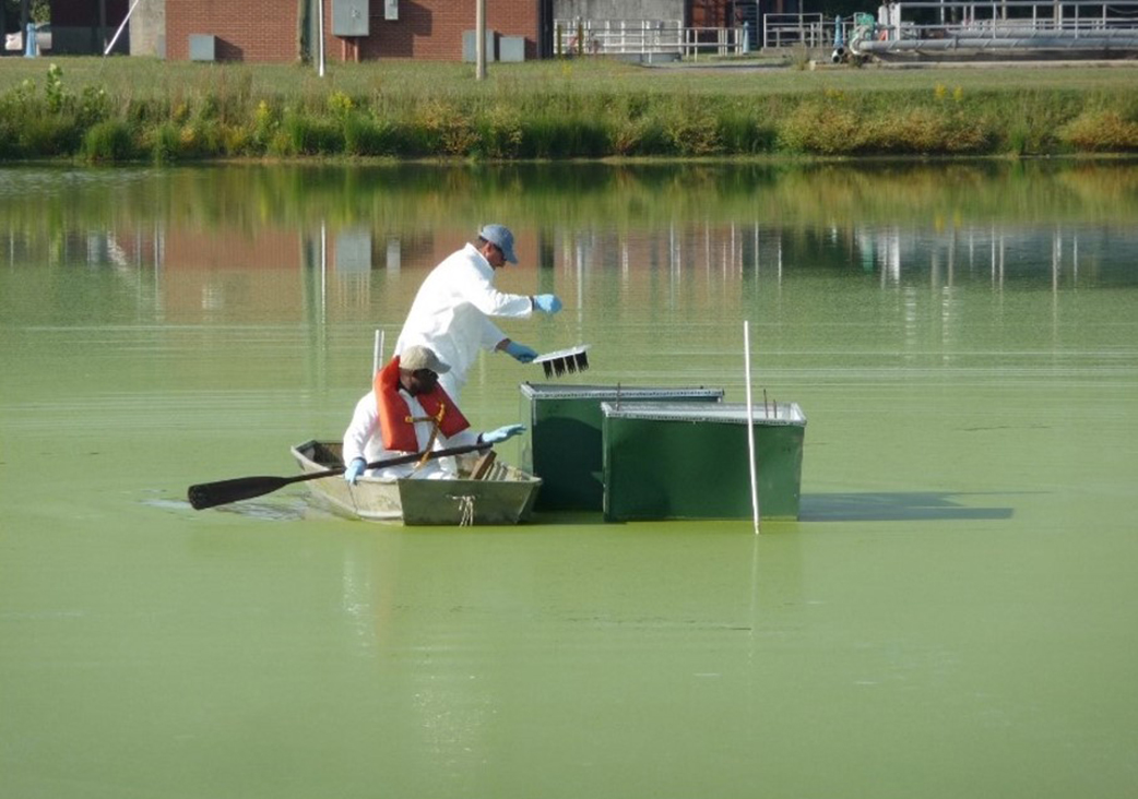 Two people in a boat on water filled with algae.