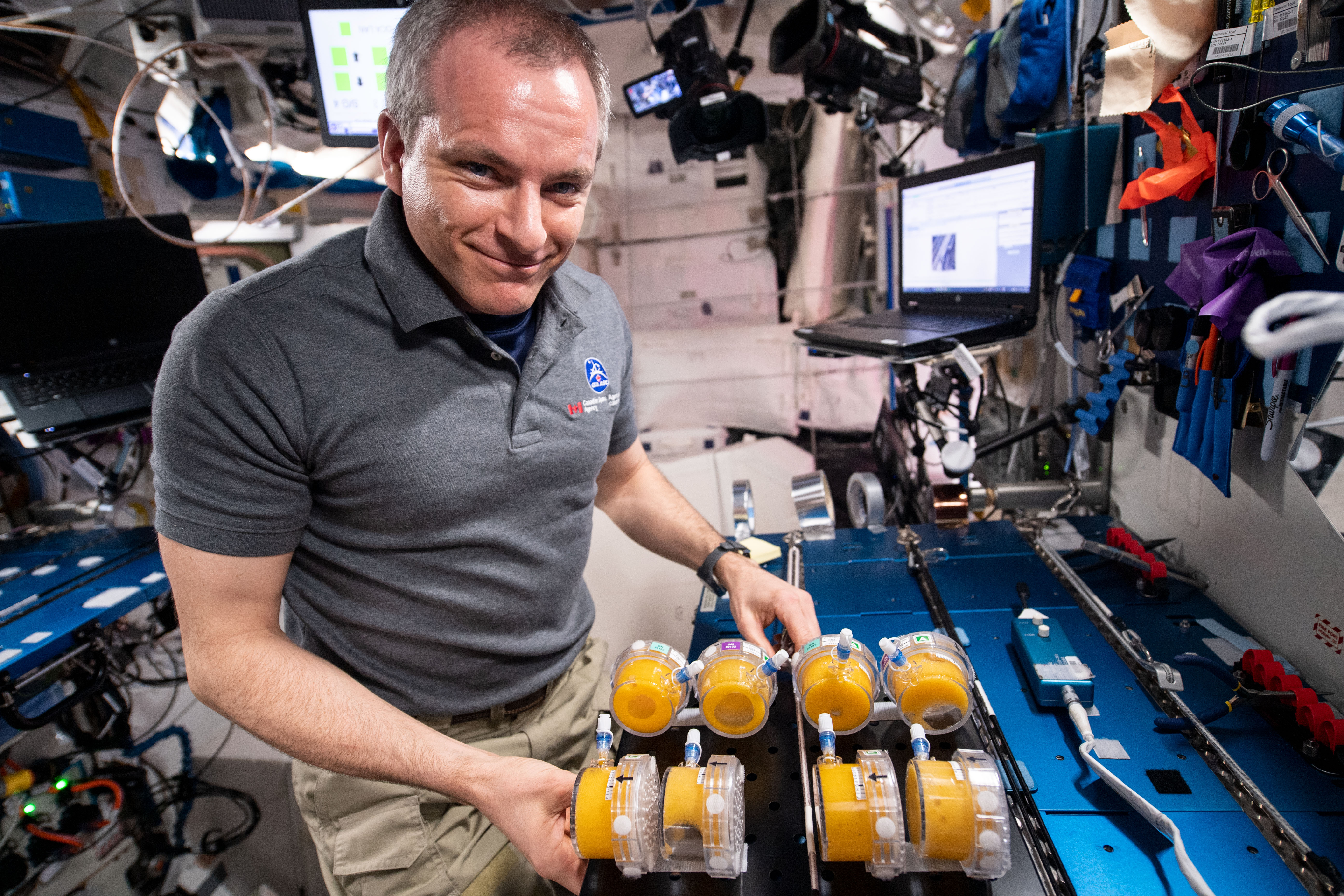Man in dark gray shirt on the International Space Station stands in front of 8 dishes of dark orange colored engineered yeast samples.