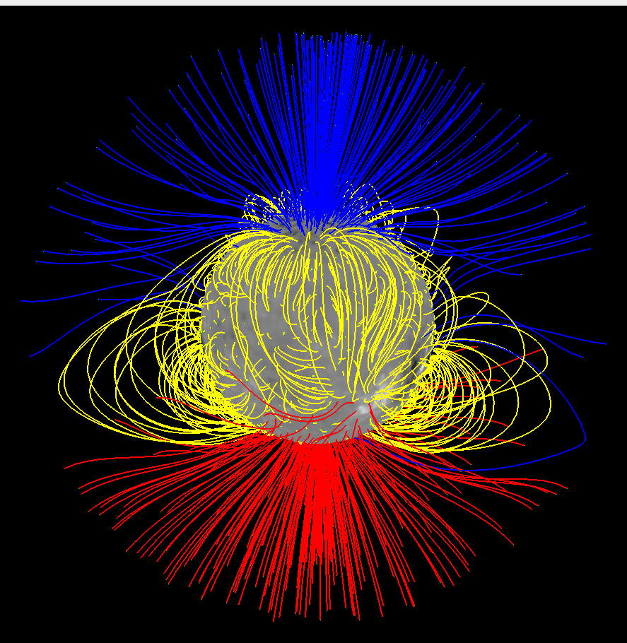 A computer model represents the Sun in gray at the center. Straight and slightly curved blue lines fan upward from the top of the Sun. Straight and slightly curved red lines fan downward from the bottom of the Sun. Yellow loops curve out and back in to the Sun all across the center of the Sun.