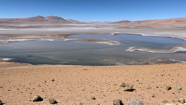 A briny lake in South America that may be similar to ancient Martian lakes.