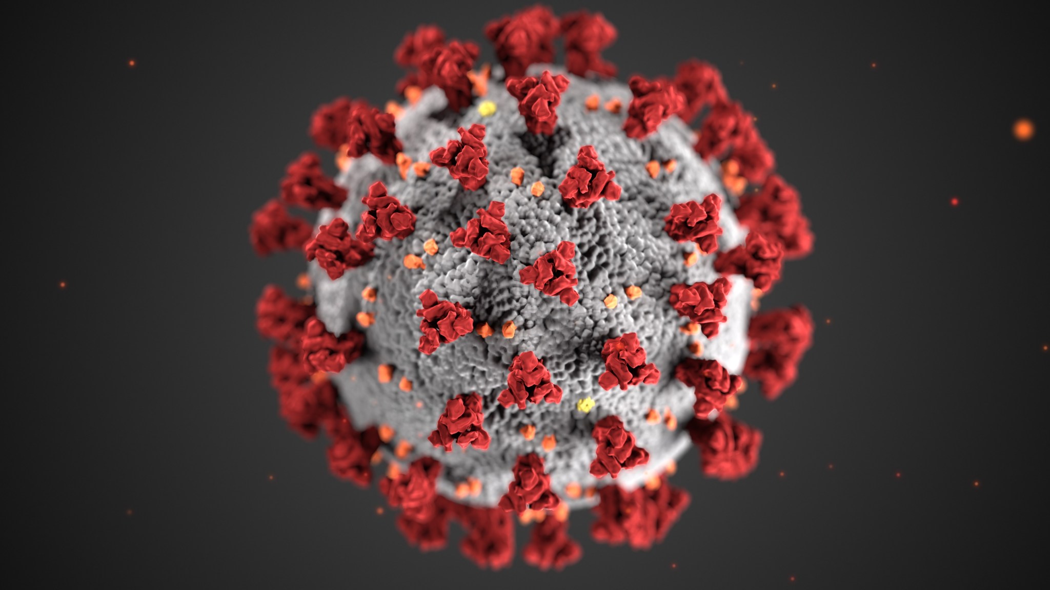 Illustration of the novel coronavirus that shows it is as a spherical gray ball with protruding red spike proteins.