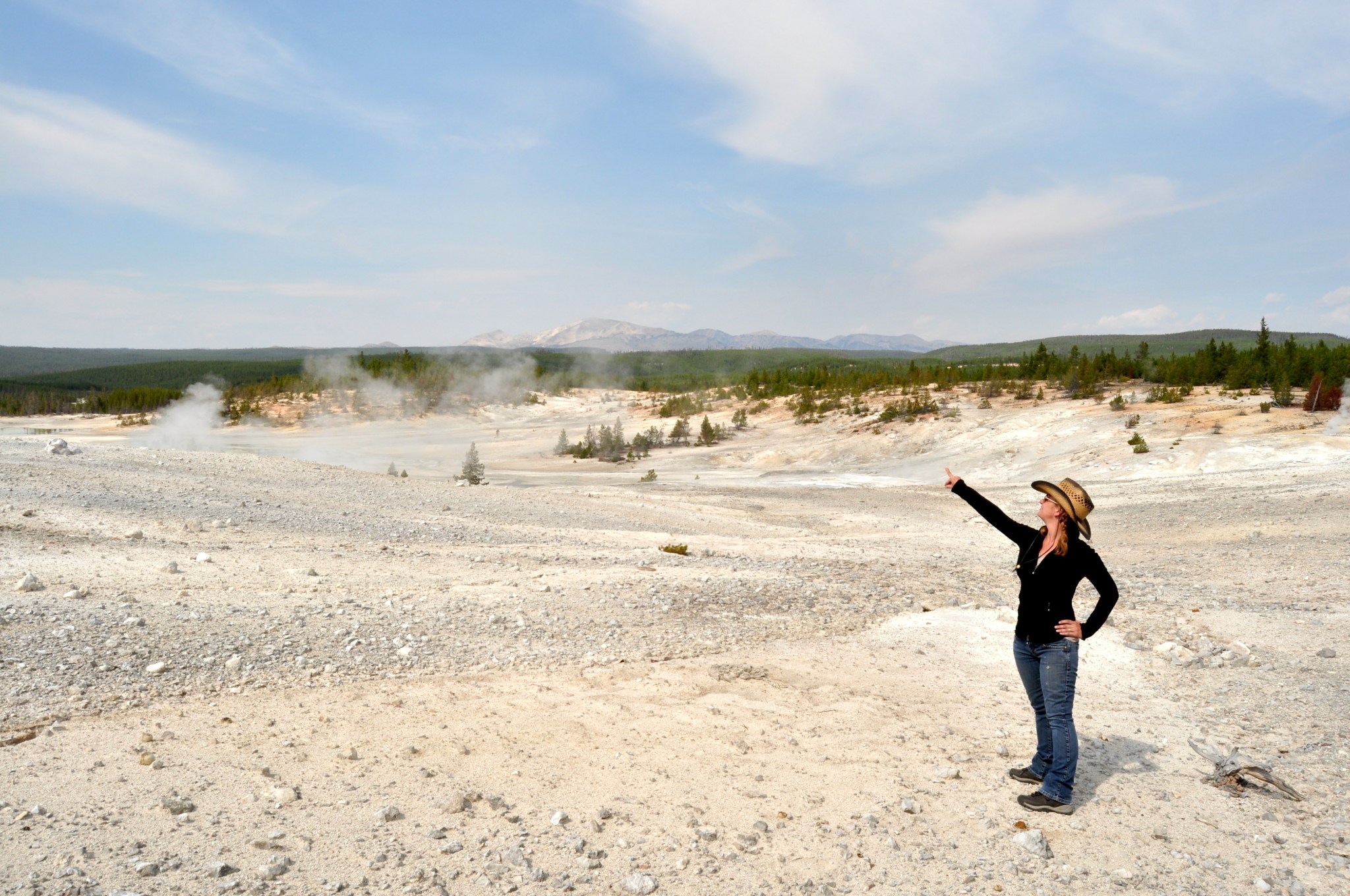 A scientist in a barren landscape pointing up, with steam rising in the background.